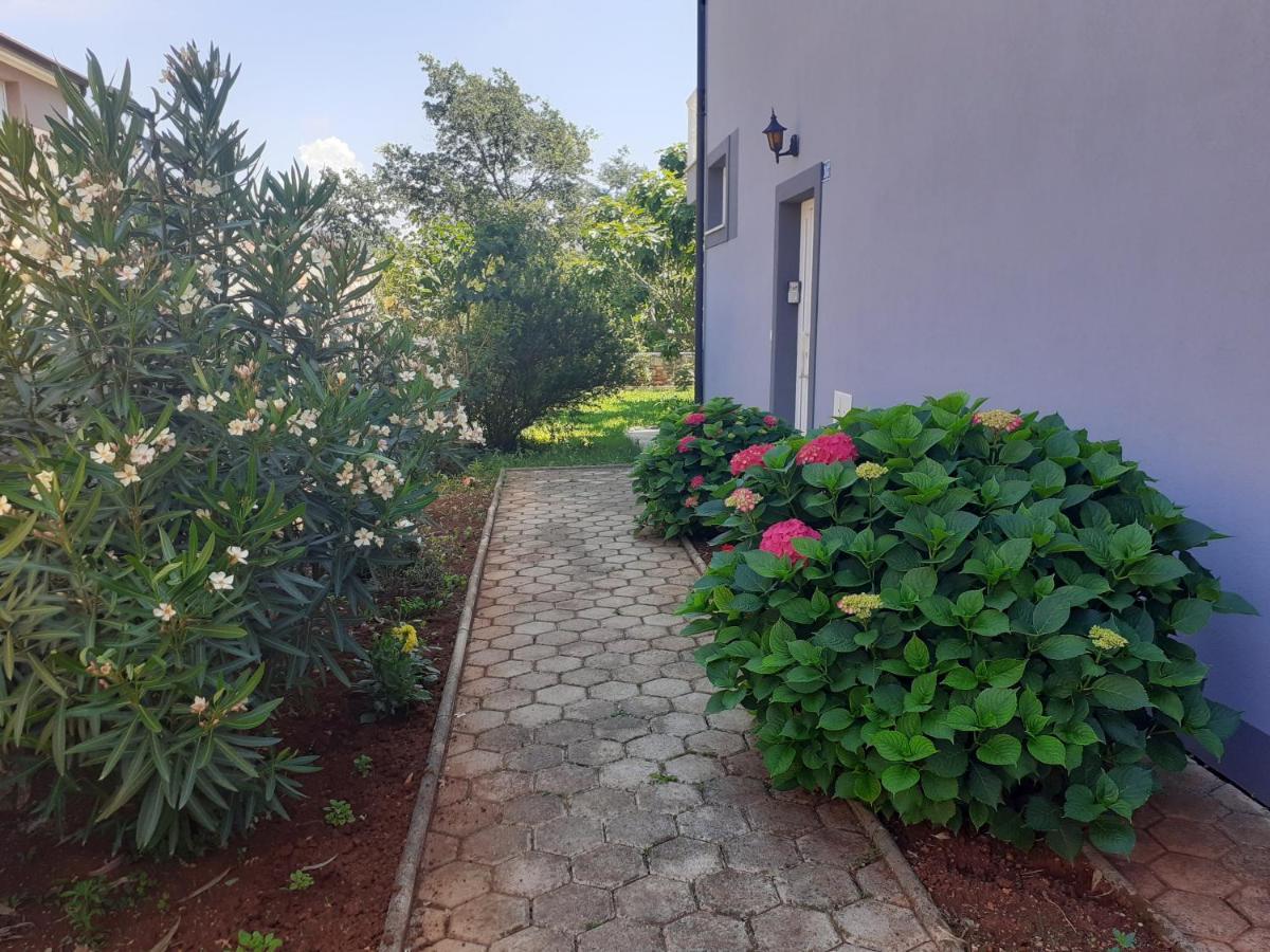 Bed And Breakfast Julia Seget  ภายนอก รูปภาพ