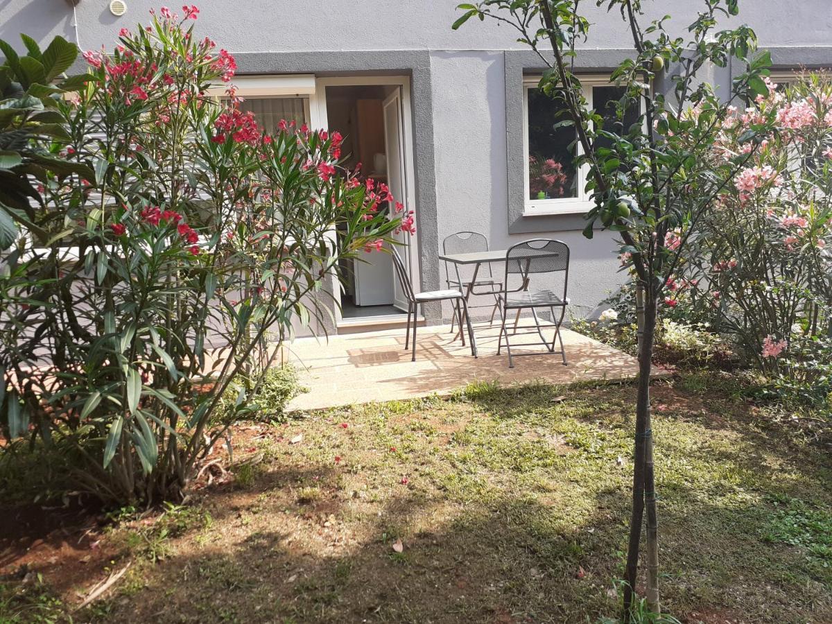 Bed And Breakfast Julia Seget  ภายนอก รูปภาพ
